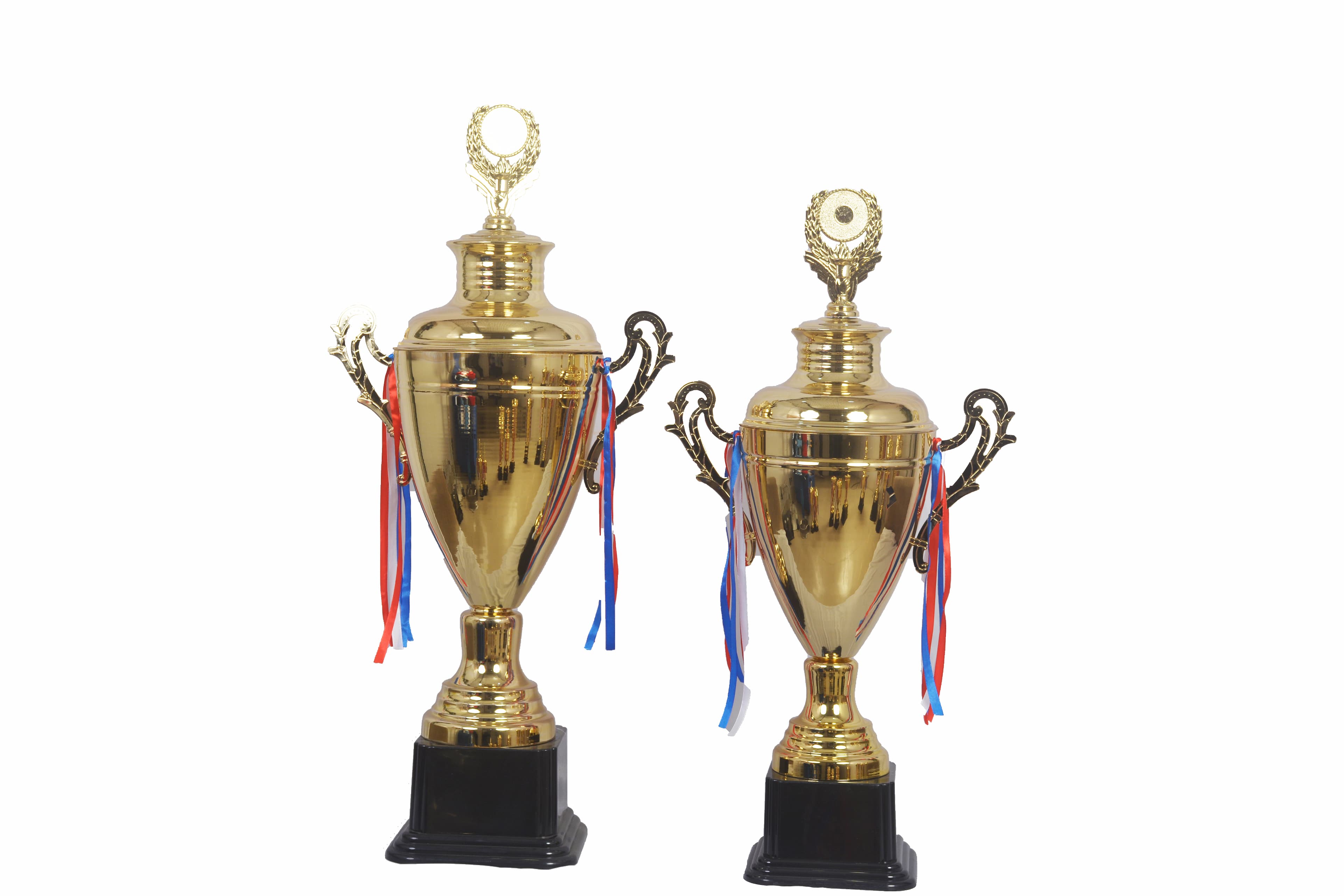 Trophy and Medal